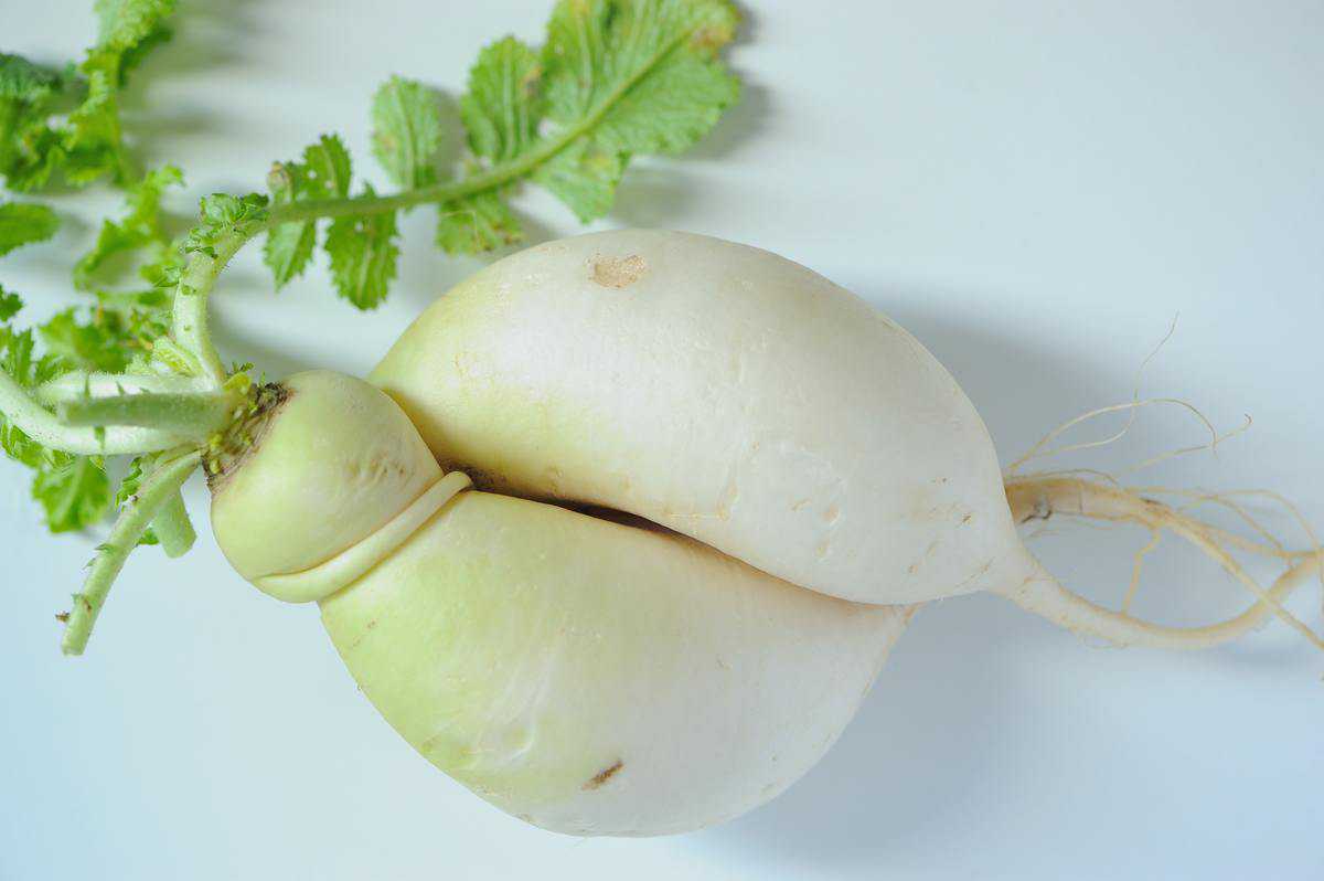 DIY turnip cleanser: for dandruff, growth and hair loss