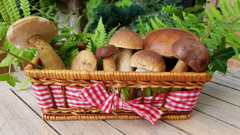 Bigos wegański grzybowo-sojowy | nie tylko na święta