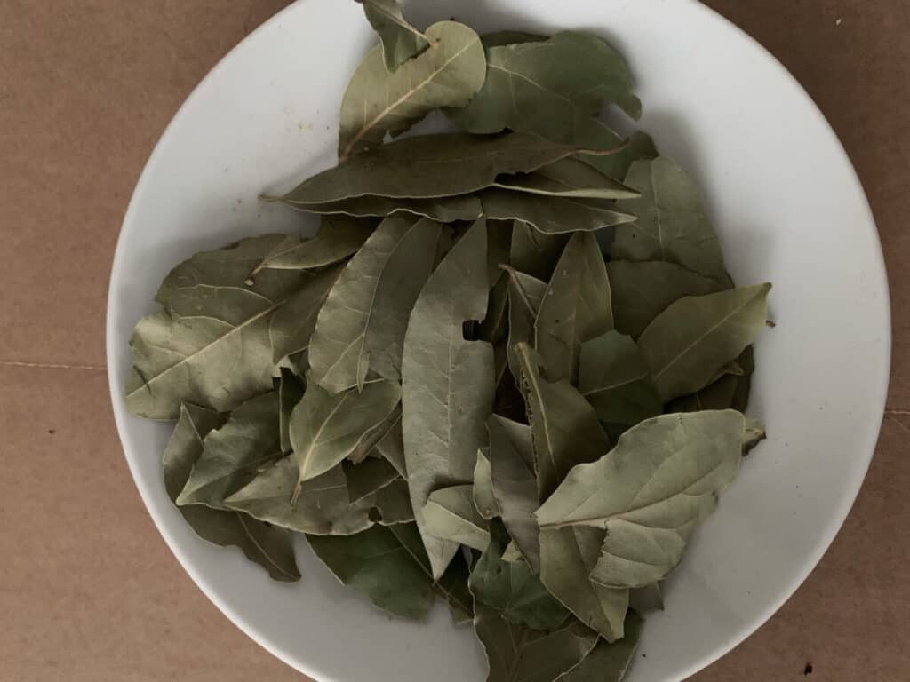 Bay leaf rinse for hair: for dandruff, lichen and volume