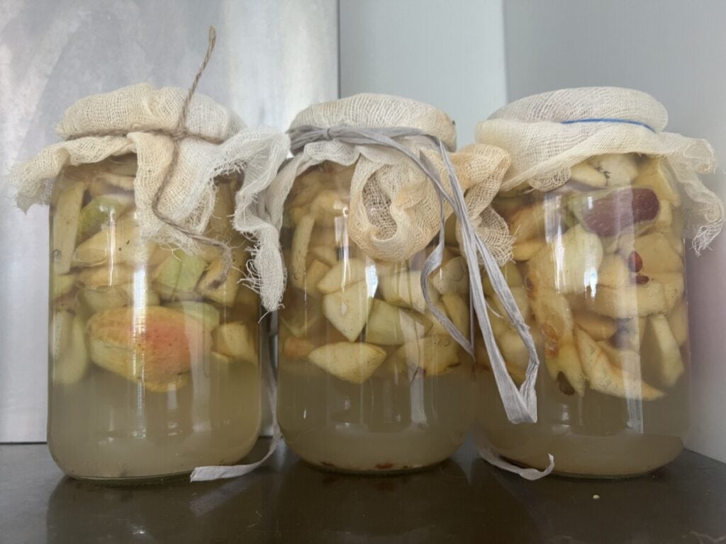 Ocet jabłkowy na miodzie prosty przepis na domowy ocet